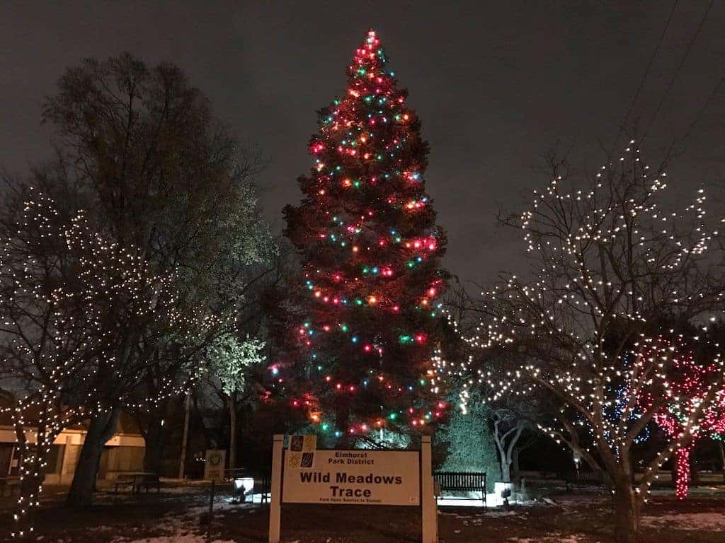 Celebrate the Season with a Christmas Tree Lighting Elmhurst BMW