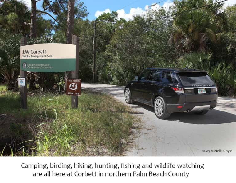 DNAX 2015 Backyard Edition Range Rover Sport Diesel Land Rover Palm