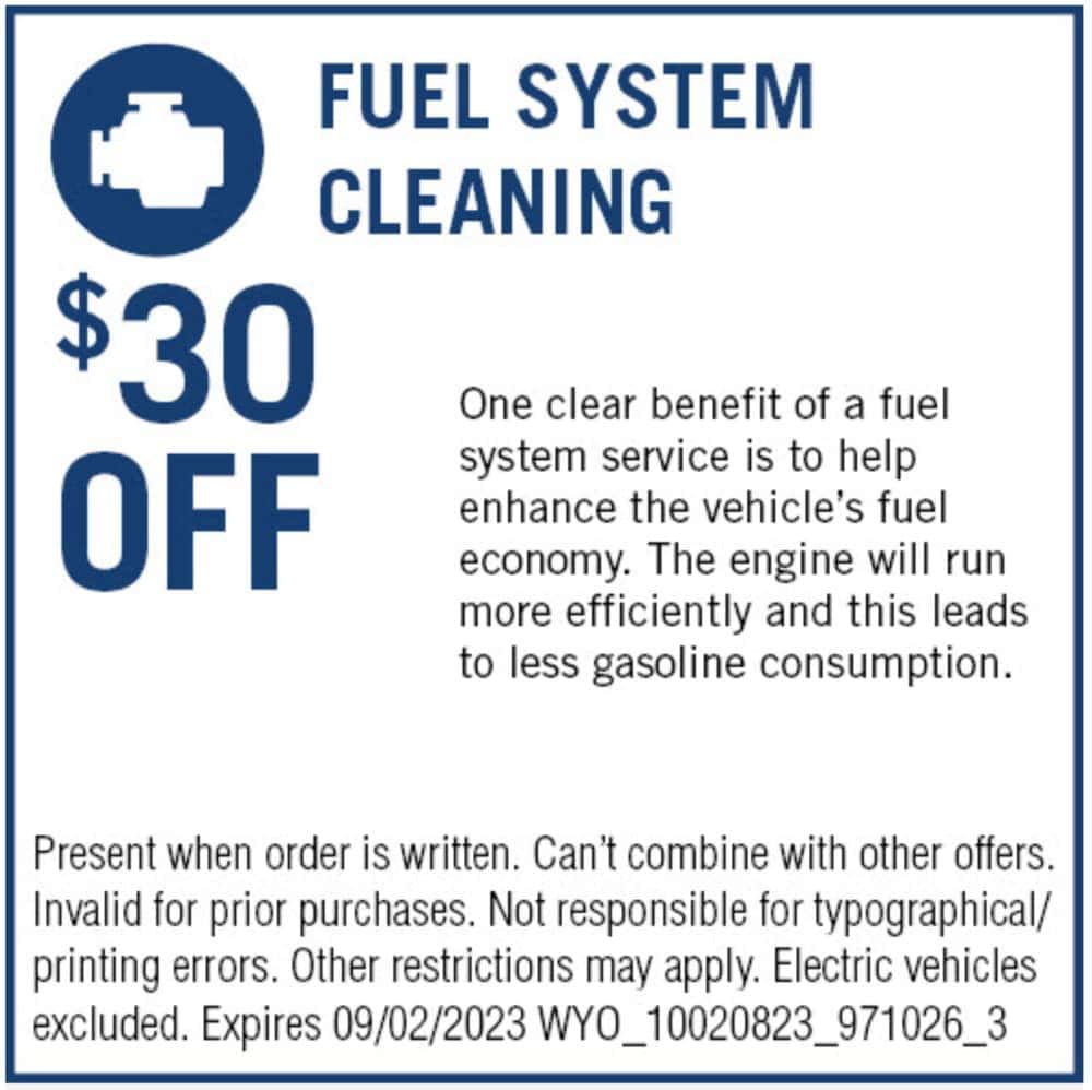 fuel system cleaning