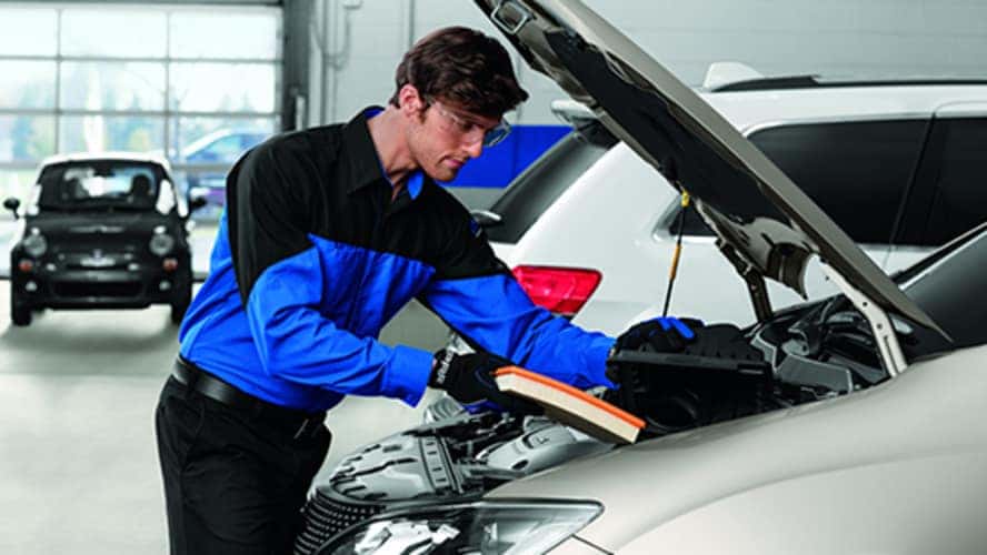 arrigo-service