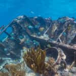 National Park week free admission to Everglades and Biscayne National Park