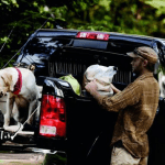 Ram 1500 Fishing