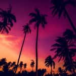 south-florida-events-aventura