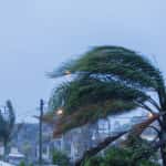 Aventura Hurricane Matthew