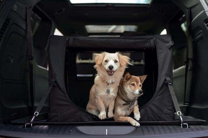 jeep renegade dog seat cover