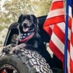 aventura-cjdr-2021-national-dog-day-chrsler-jeep