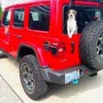 aventura-cjdr-2022-autotrader-10-best-cars-dog-lovers-ram-promaster-city-chrysler-pacifica-jeep-wrangler