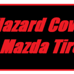 Road Hazard