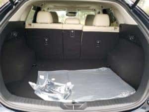 Advanced Pedestrian Rating