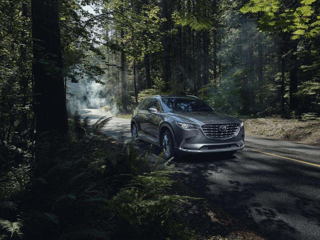 Mazda CX-9 driving through a forest