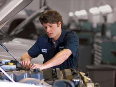 Oil &amp; Filter Change