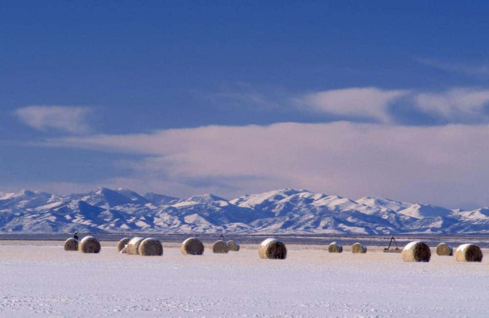 winter-events-in-oklahoma-carter-chevrolet