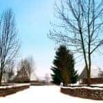 Winter Driving Tips