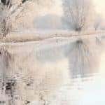 Winter Landscape