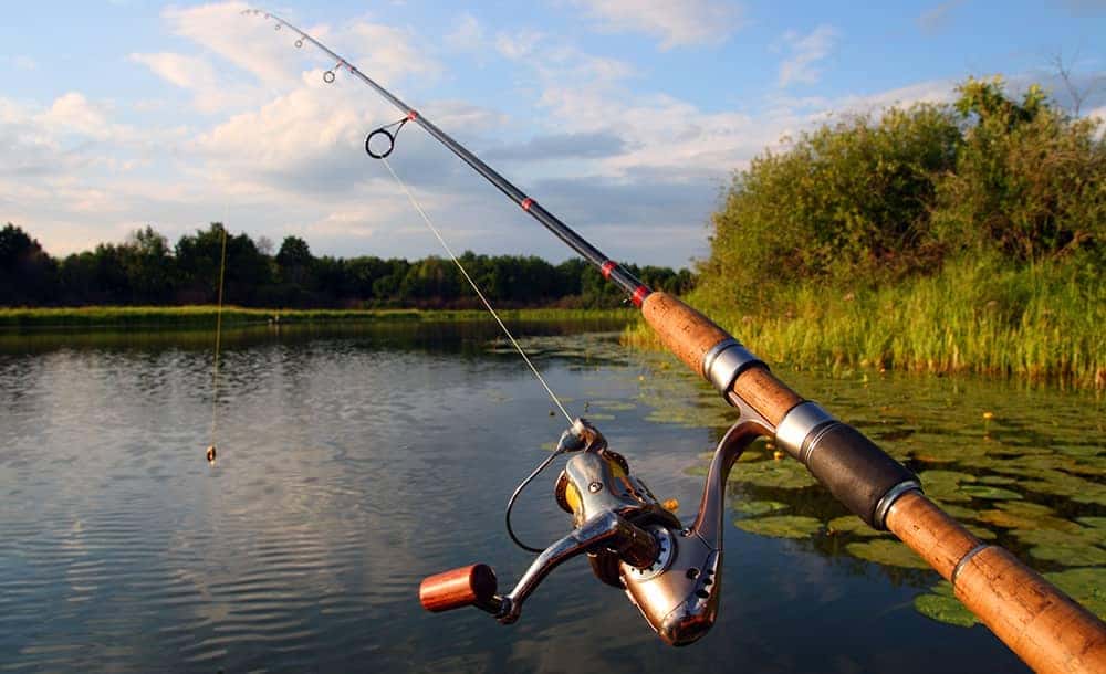 Fishing in Rice Lake, Wisconsin What Kind of Fish You Can Catch