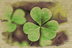 Clover Hunt