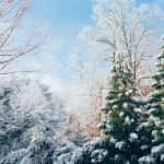Snow