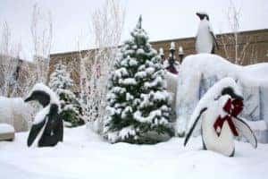 Hometown Holiday Family Fun