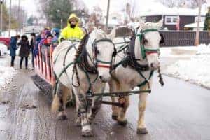 Sleigh Rides, Ice Sculptures & Santa - McGrath Elmhurst Toyota