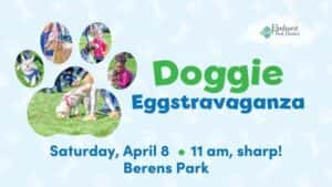 Doggie Eggstravaganza