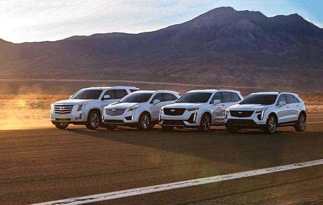 Cadillac vehicles lined up