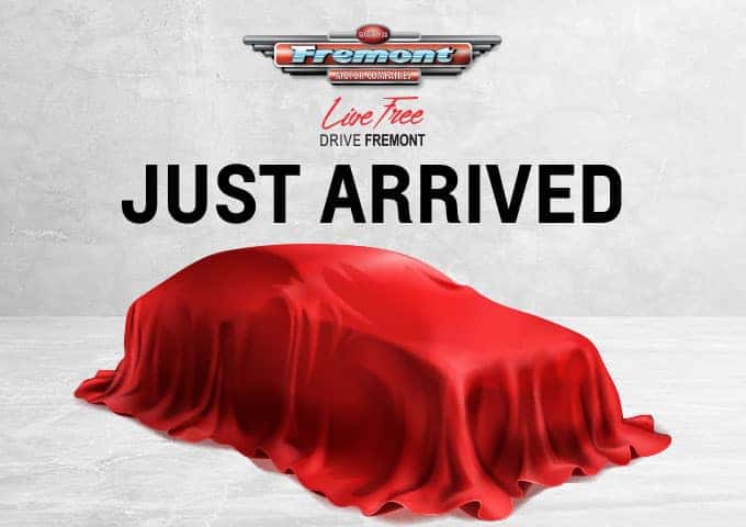 2020 Ford Super Duty F-250 SRW XL 4WD Crew Cab 8' Box