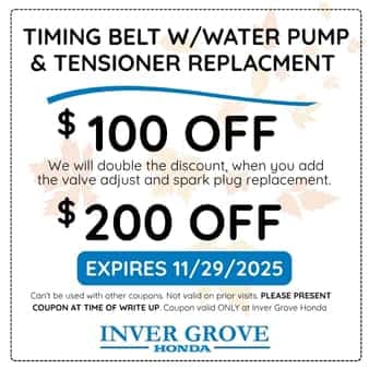 Timing Belt Special