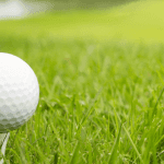 Golf Ball on Golf Course