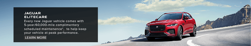 Jaguar EliteCare – DI Small (mobile)
