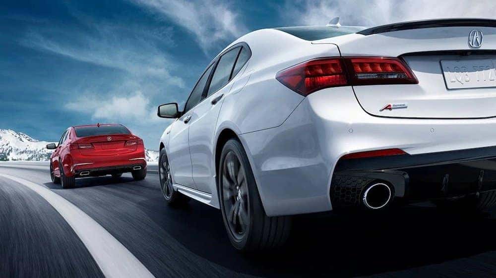 2019 Acura TLX models on the road