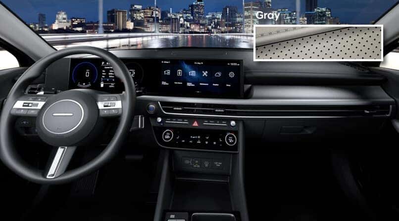 Gray Interior