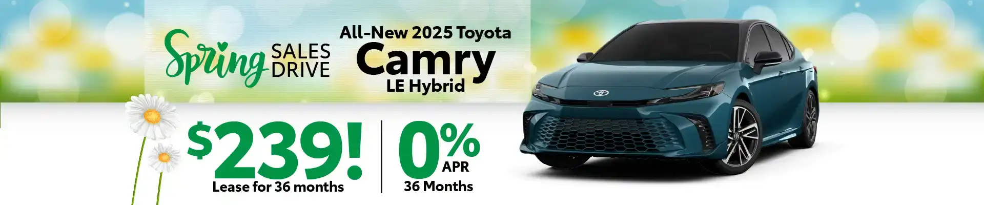 Toyota Camry special offers