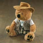 bear