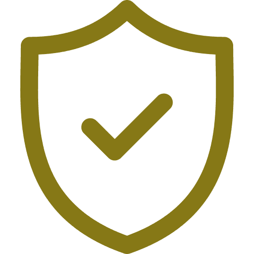 shield icon