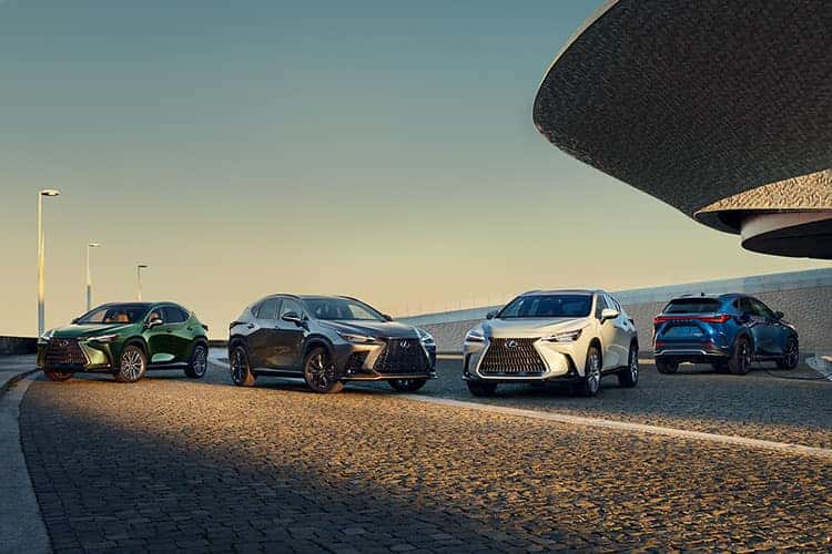 2024 Lexus NX Lineup