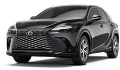 RX HYBRID