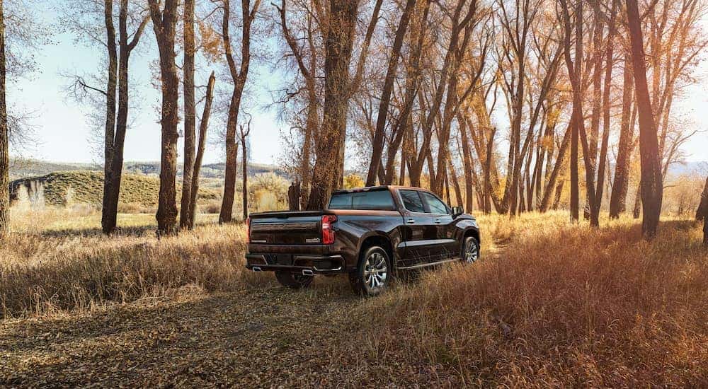 A black 2019 Chevy Silverado 1500 is shown parked in a field in front of a row of trees.