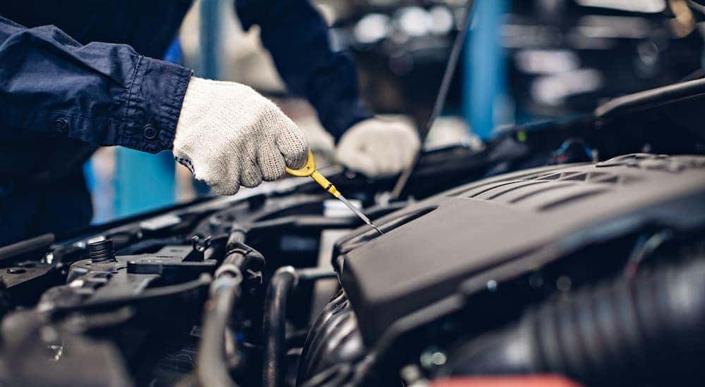 A mechanic is shown checking the dipstick in a used car.