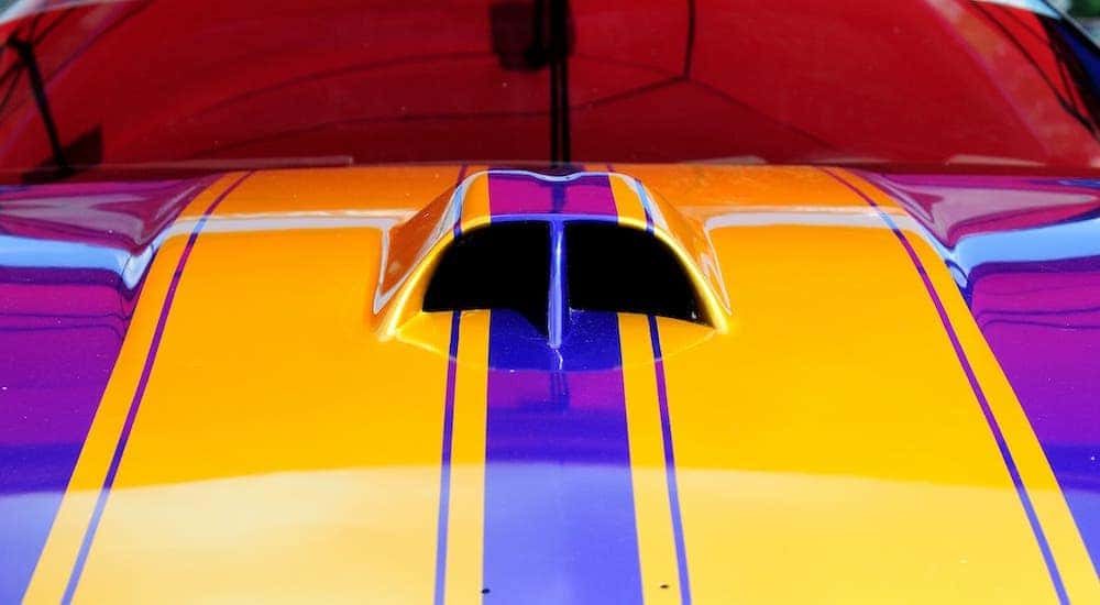 A closeup shows yellow racing stripes on a purple car hood.