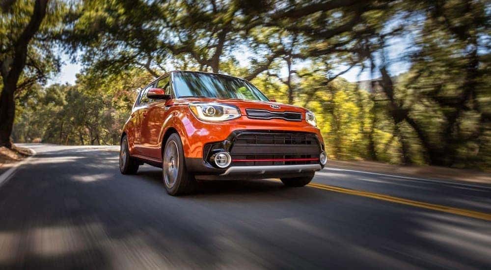 An orange 2017 Kia Soul is shown from the front driving on an open tree lined road.