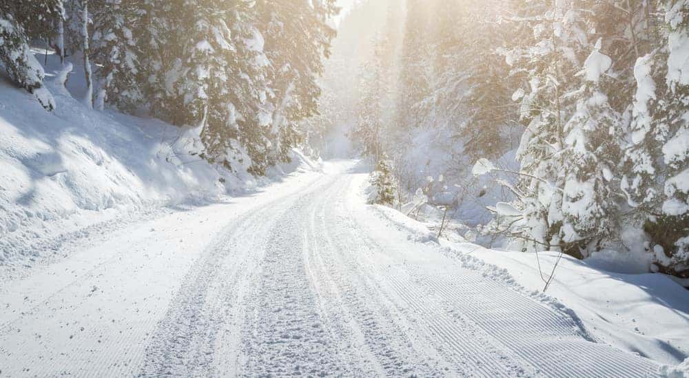 A snowy road is shown with snow-covered trees on each side.