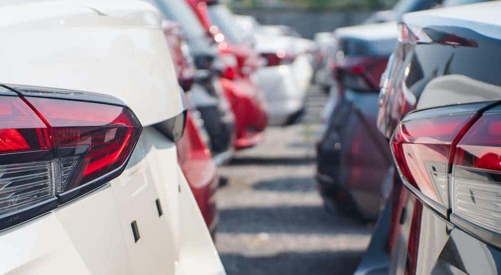 A close up shows two rows of cars trunks at a buy here pay here dealership.