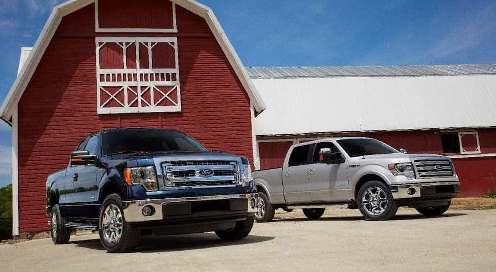 A black 2014 used Ford F-150 Lariat and a silver XLT are parked in front of a red barn.