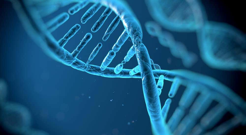 Genetic DNA Disease