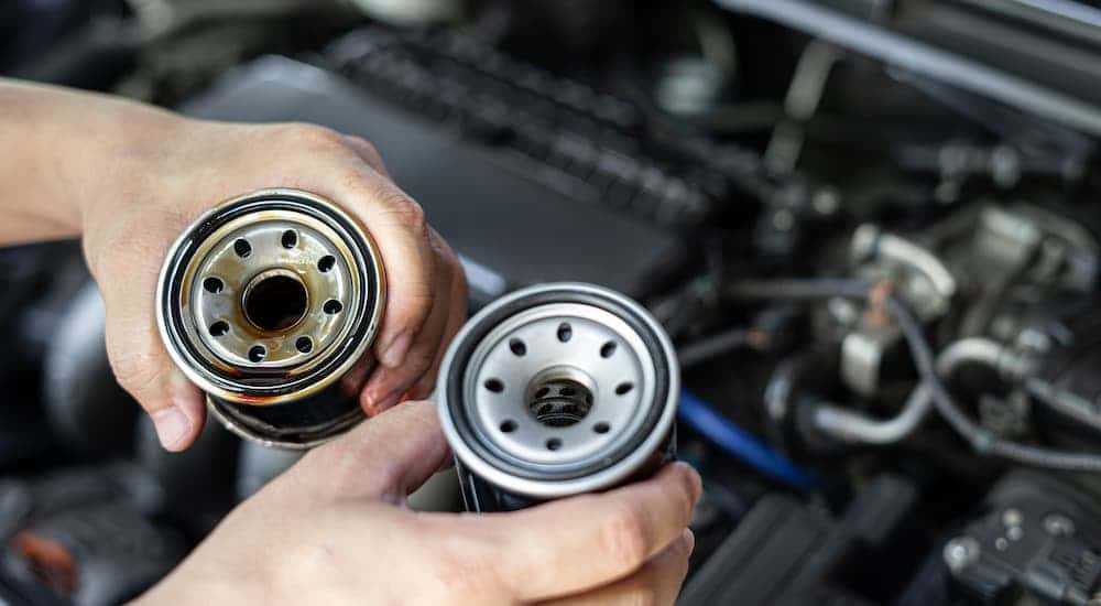 Someone holding a pair of oil filters.