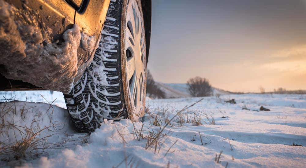 A closeup of winter tires in snow at dusk is shown.