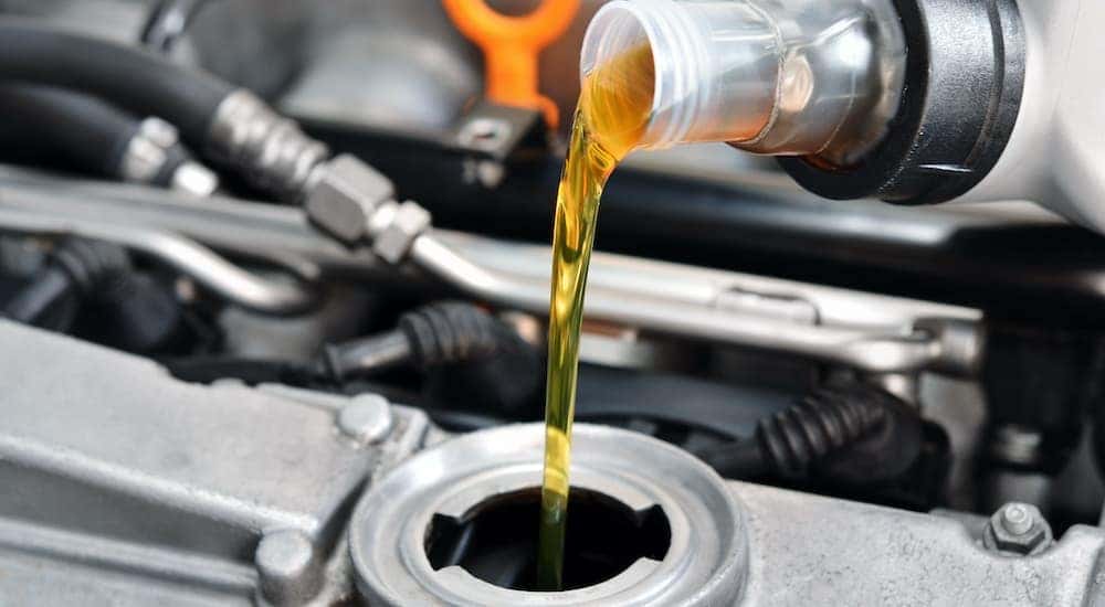 A mechanic is preforming a quick oil change.