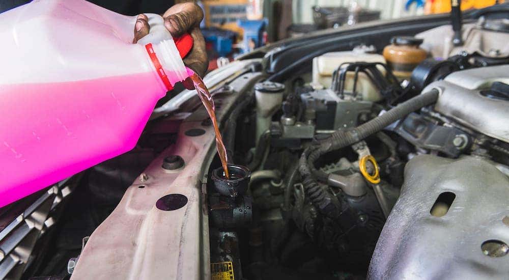 Pink coolant is being poured into a radiator as part of a full service fluid check and oil change in Cincinnati.
