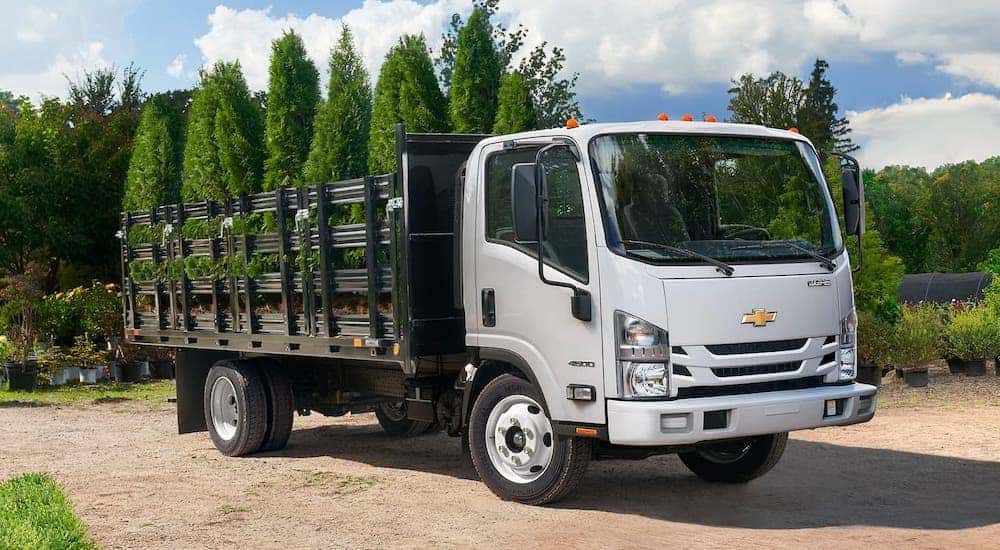 A white 2021 Chevy Low Cab Forward flatbed truck is filled with trees at a garden center.