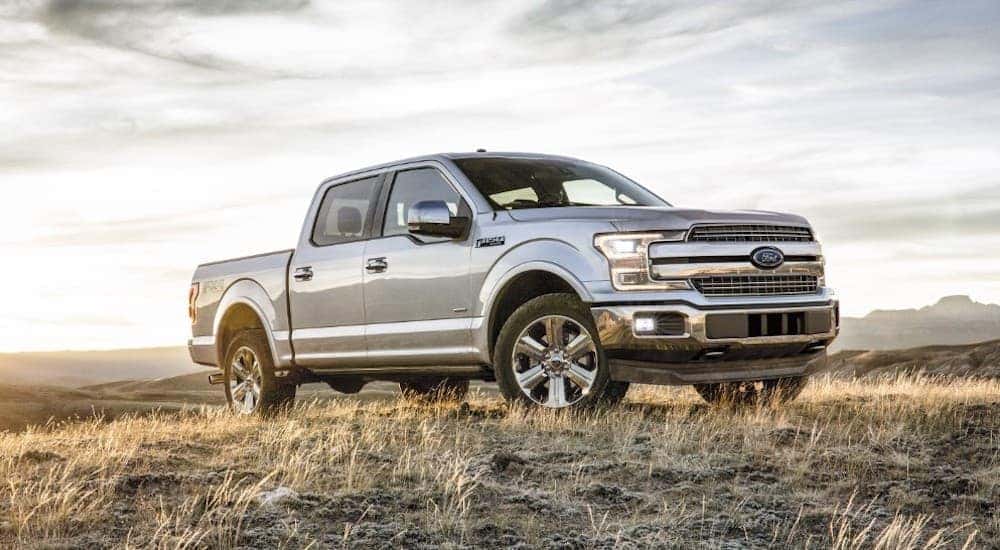 A silver 2018 Ford F-150 is parked in a field and is popular among used trucks for sale.